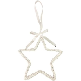 White Star 20cm