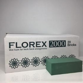 Wet Foam Oasis Florex x 20 Bricks