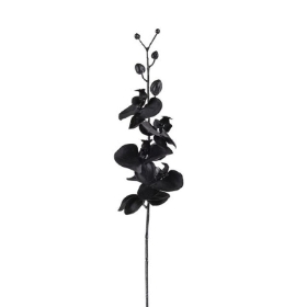 Black Orchid 90cm