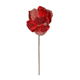 Red Magnolia 45cm
