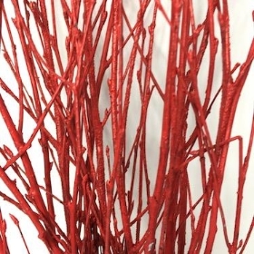 Red Painted Birch