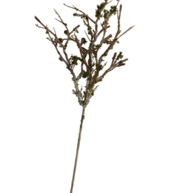 Mossed Twig Pick 25cm
