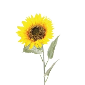Sunflower 71cm