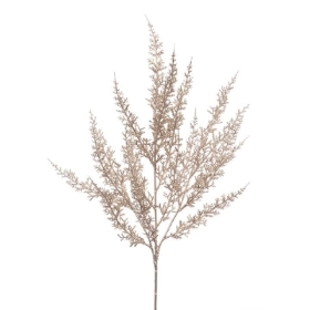 Champagne Cedar 69cm