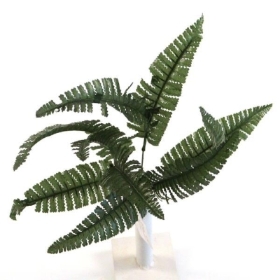 Green Fern Bush 40cm