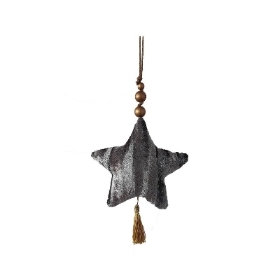 Silver Velvet Star 22cm