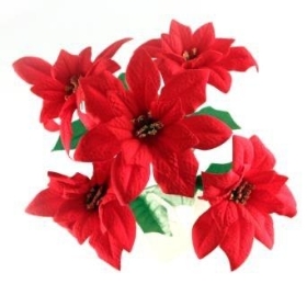 Red Velvet Poinsettia Bush  37cm