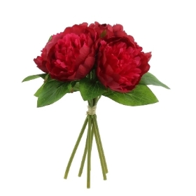 Cerise Arundel Peony Bundle 24cm