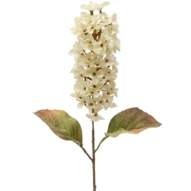 Ivory Panicled Hydrangea 68cm