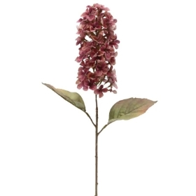 Pink Panicled Hydrangea 68cm