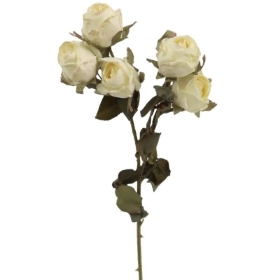 Ivory Dry Spray Rose 43cm