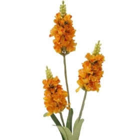 Orange Blossom Spike 65cm