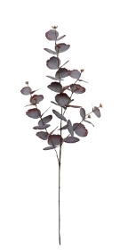 Burgundy Spiral Euc Spray 87cm