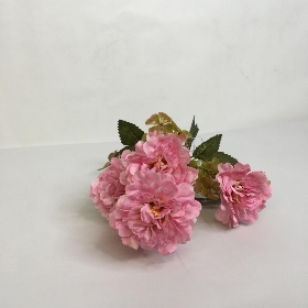 Ruffled Peony Bush 30cm