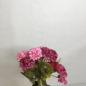 Mini Dahlia Bush 30cm