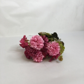 Mini Dahlia Bush 30cm