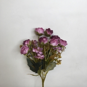 Rose & Daisy Bush 30cm