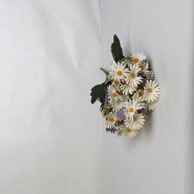 Daisy Bush 35cm