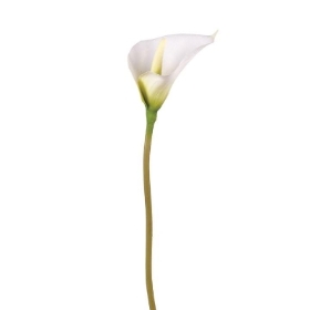 Ivory Calla Lily 59cm