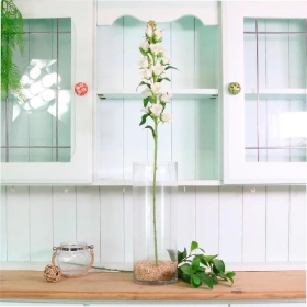 Ivory Campanula 82cm