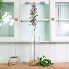 Purple Campanula 82cm