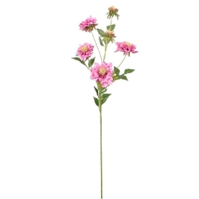 Blush Ruffled Scabious 75cm