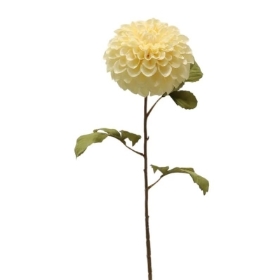 Ivory Cream Dahlia 74cm