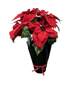 Red Potted Poinsettia 55cm