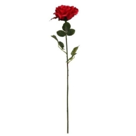 Red Elegance Rose 68cm