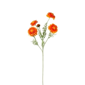 Orange Melody Spray 60cm