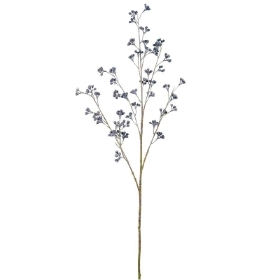 Blue Huckleberry 88cm