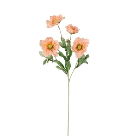 Peach Frilly Scabious 63cm