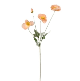 Peach Mila Poppy 60cm