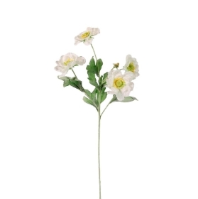 Cream Frilly Scabious 63cm