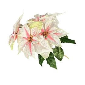 Ivory Pink Poinsettia Bush 50cm