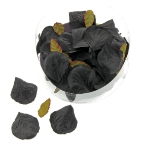 Black Rose Petals x 164