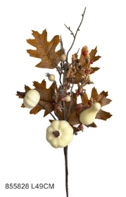 Pumpkin & Oat Pick 49cm