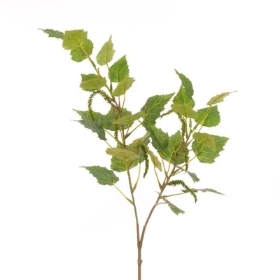 Birch Leaves 71cm