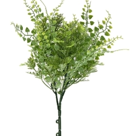 Mixed Fern Bush 30cm