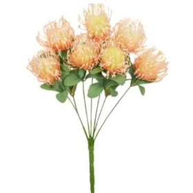 Peach Spider Chrys Bush 48cm