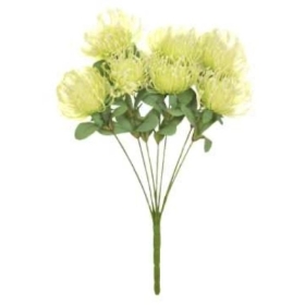 Green Spider Chrys Bush 48cm