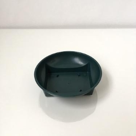 Square Round Dish Green x 25