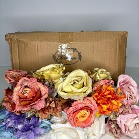 Antique Rose & Foliage Bush