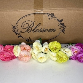 Classic Peony Bundle