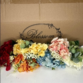 48 x Open Dahlia Bush