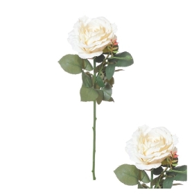 Ivory Ireland Rose 66cm