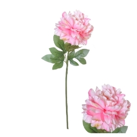 Light Pink Peony 75cm