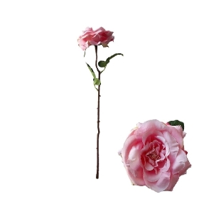 Pink Rose 50cm
