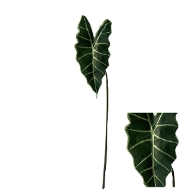 Alocasia Branch 70cm