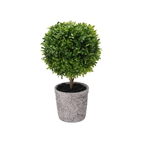 Buxus Ball In Pot 52cm